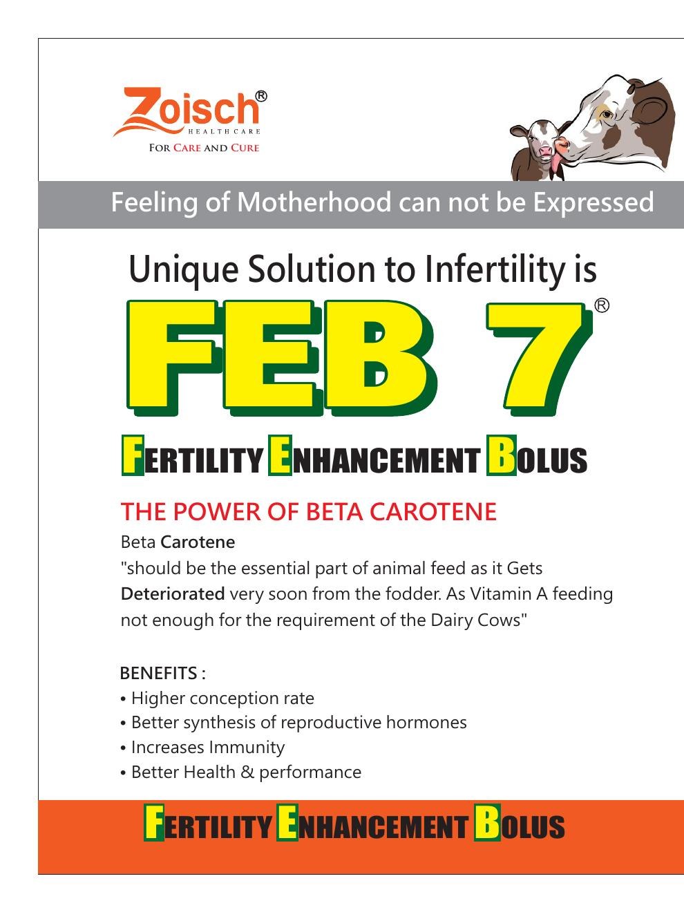 FEB 7 product