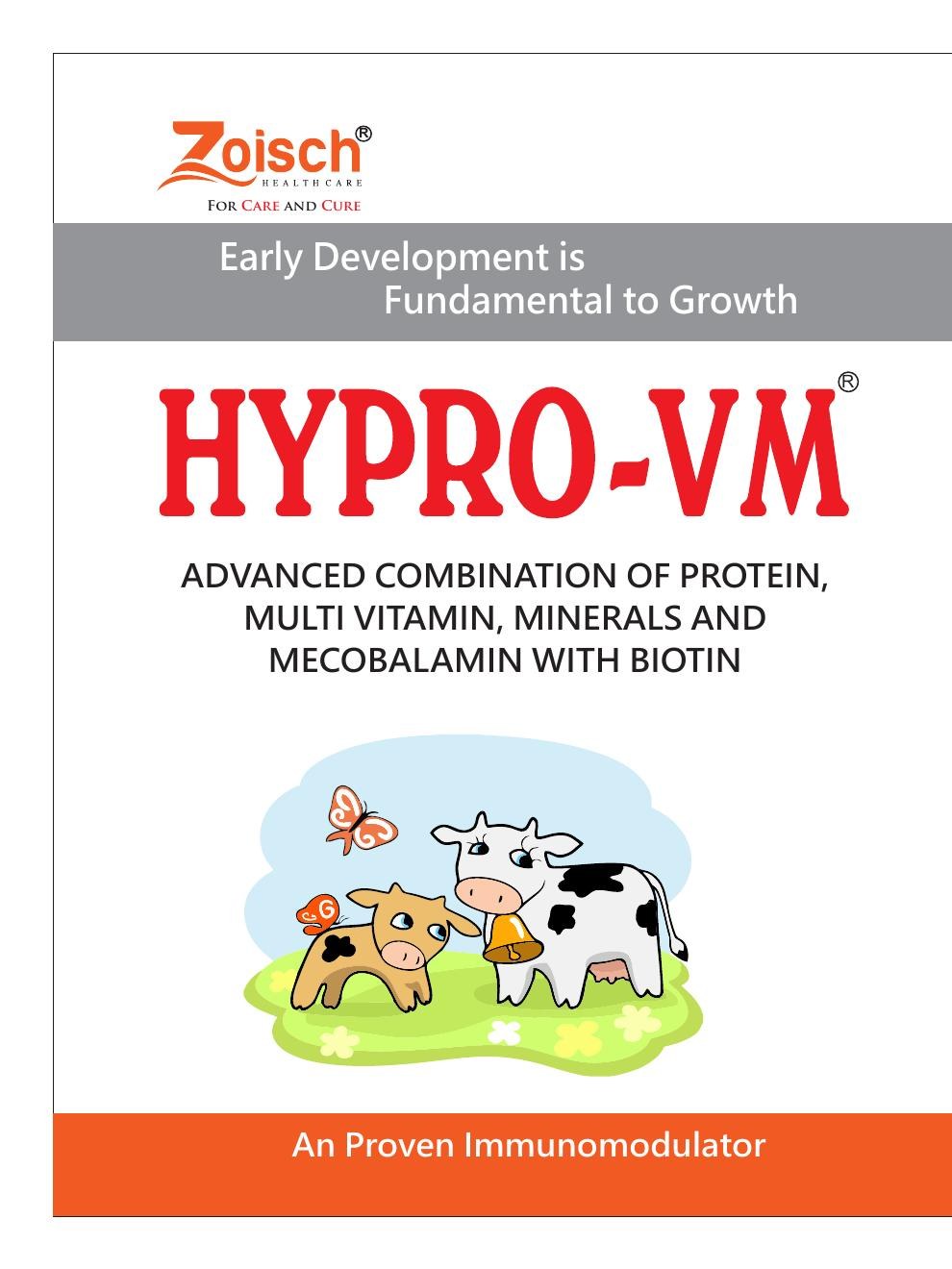 Hypro-VM product