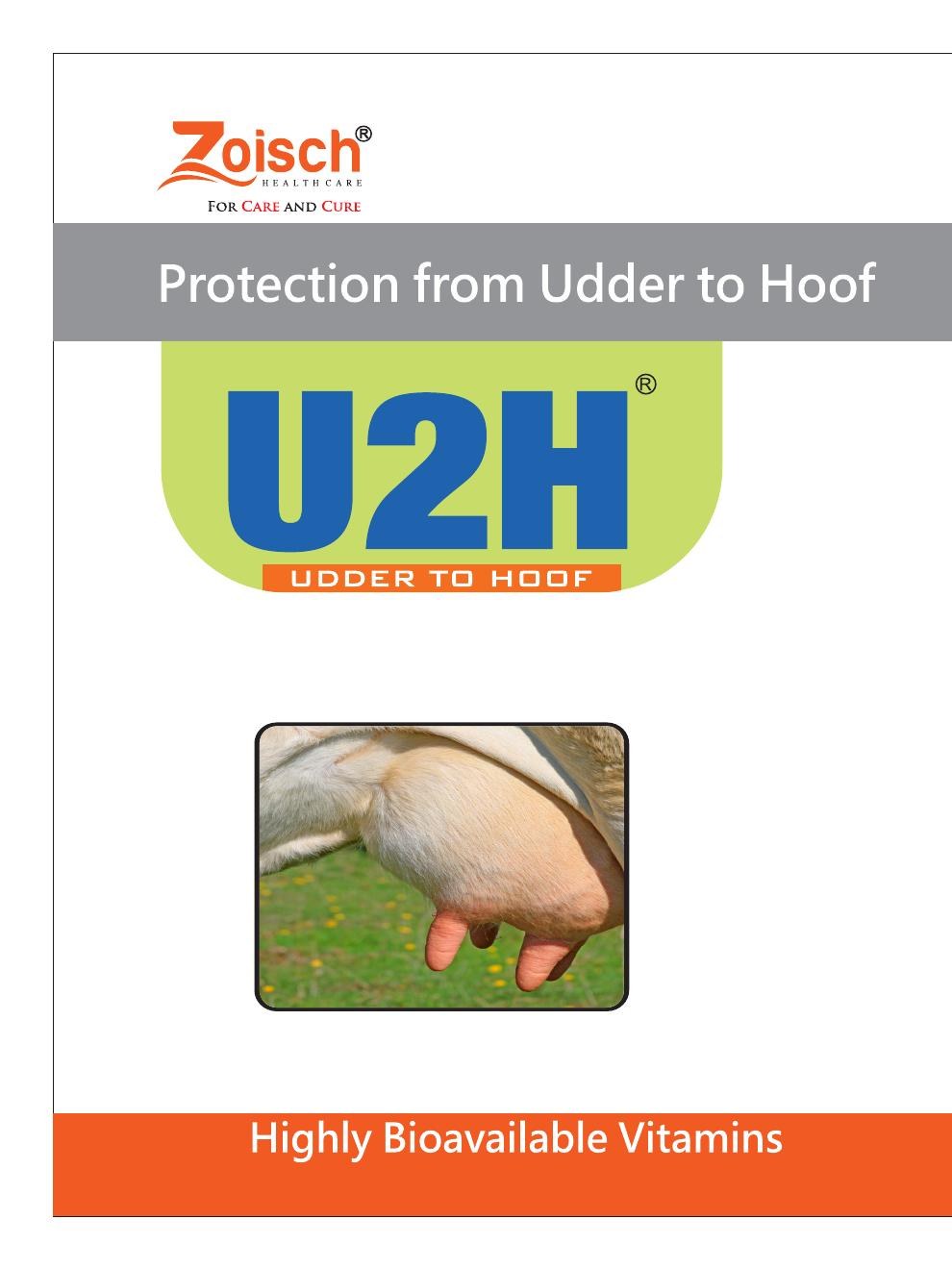 U2H product